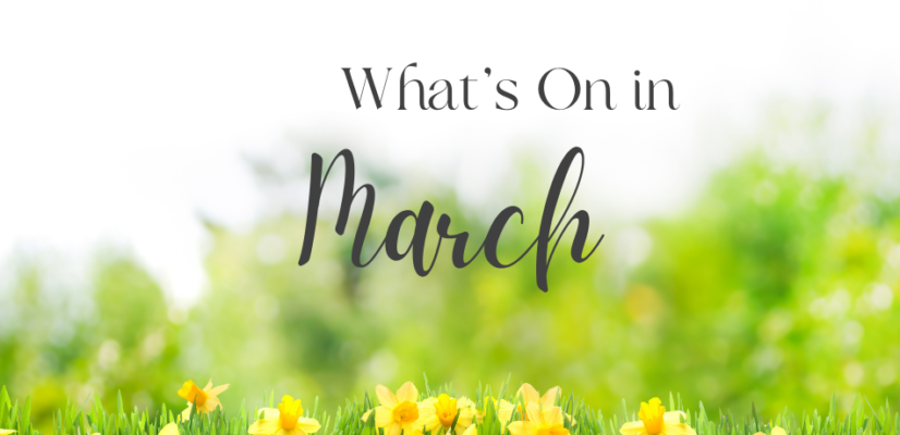 What's On in March!